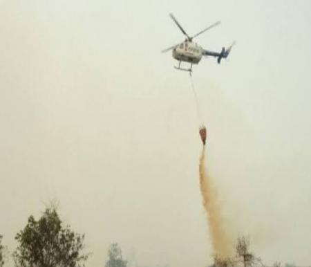 Ilustrasi hotspot di Riau masih nihil titik api (foto/int)